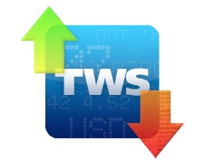 Trader Workstation (TWS)