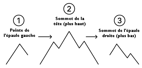 Identifier le modèle