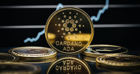 cardano-1.png