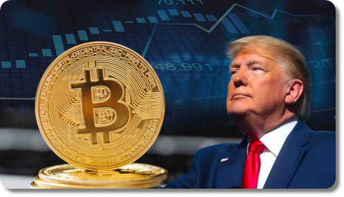 trump-btc.png
