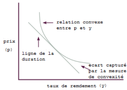 convexité