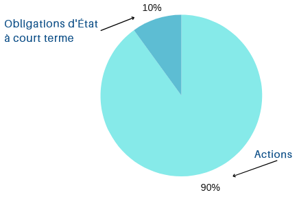 Allocation du portefeuille Warren Buffett 90/10