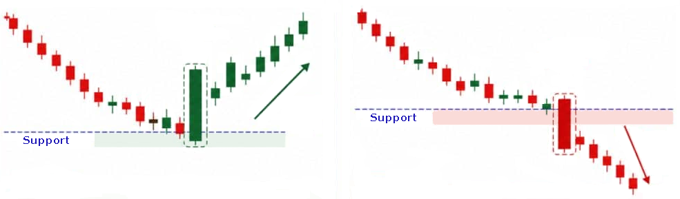 Marubozu sur un support