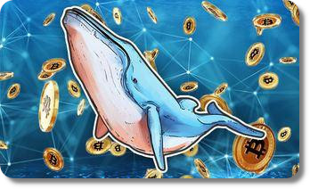 Baleines Bitcoin