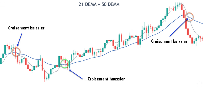 Croisements DEMA 21 et DEMA 50 périodes
