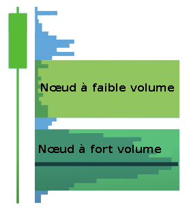 HVN et LVN