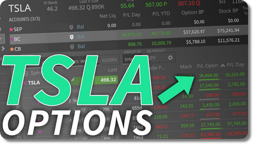 Ascension et chute d'un trader d'options Tesla
