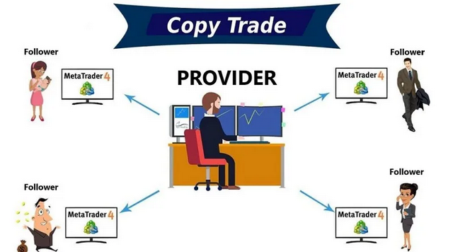 Fonctionnement du copy trading : un fournisseur de stratégie et ses suiveurs sur MetaTrader 4